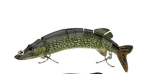 classical multistage bionic lure designed as realistic fish bait for fishing