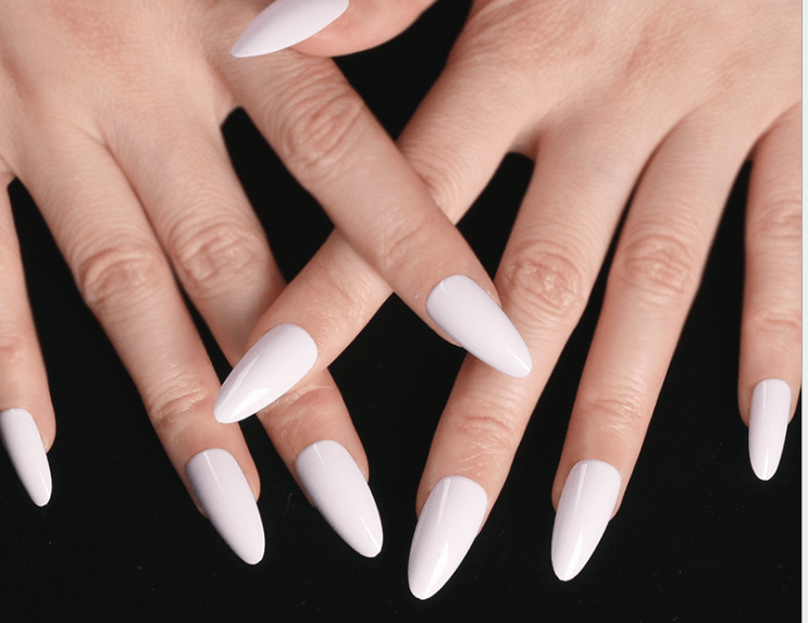 Bags Of 24 Pieces Finished Wear Nails - AMIR BAGS INDIA PRIVATE LIMITED