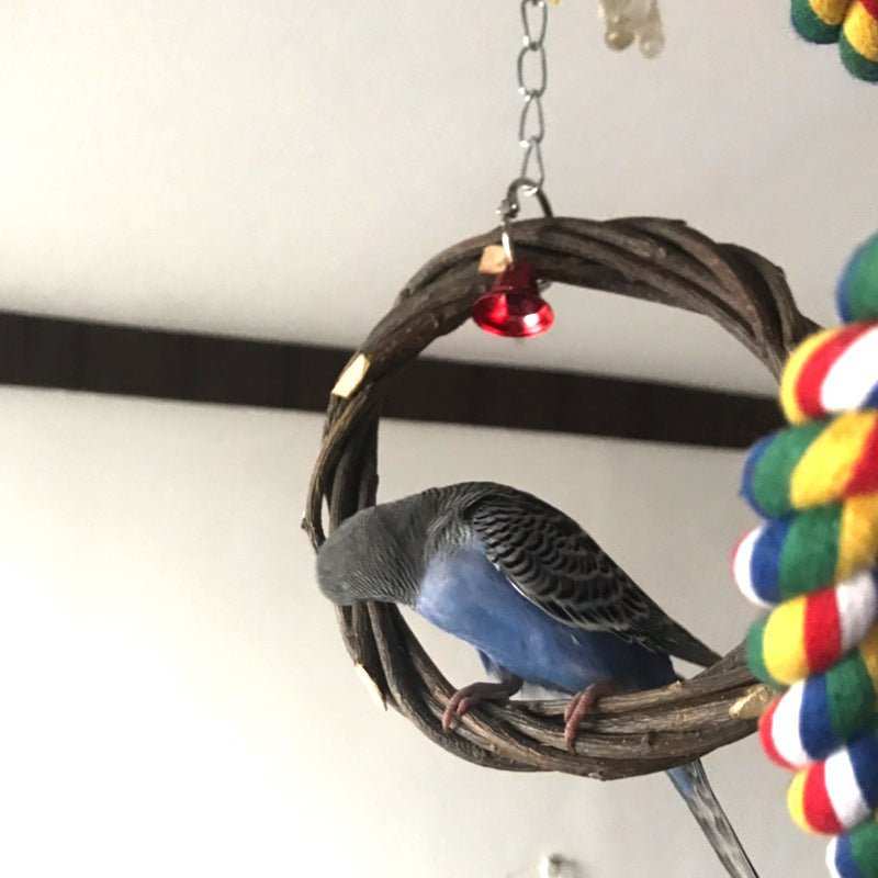 Bird Standing Frame Rattan Ring Chewing Toy Bird Cage - AMIR BAGS INDIA PRIVATE LIMITED