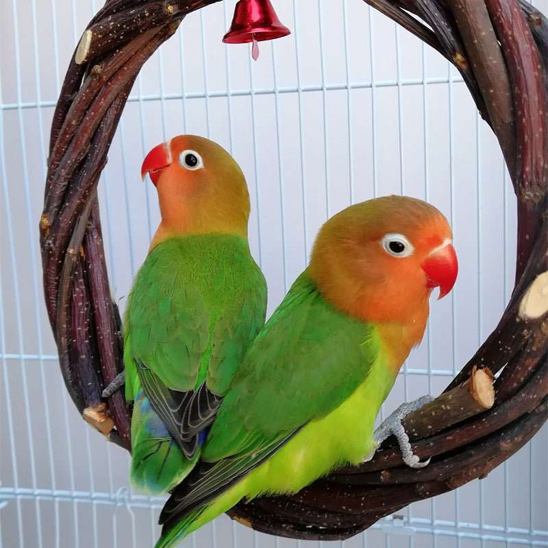 Bird Standing Frame Rattan Ring Chewing Toy Bird Cage - AMIR BAGS INDIA PRIVATE LIMITED