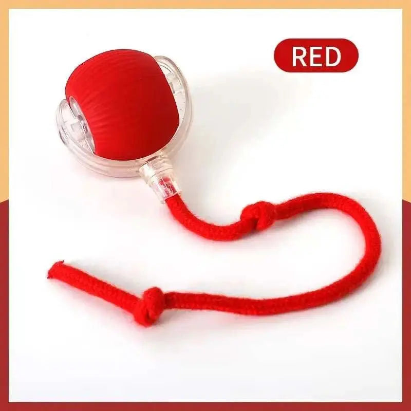 Cat Interactive ball Toy, Automatic Rolling Ball with Tail, Rechargeable Smart Pet Interactive Toy, Intelligent toy for Cat - AMIR BAGS INDIA PRIVATE LIMITED