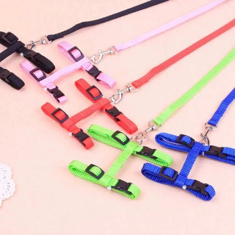 Cat leash I - shaped special dog leash for going out is firm and safe paper jam chest and back pet supplies - AMIR BAGS INDIA PRIVATE LIMITED