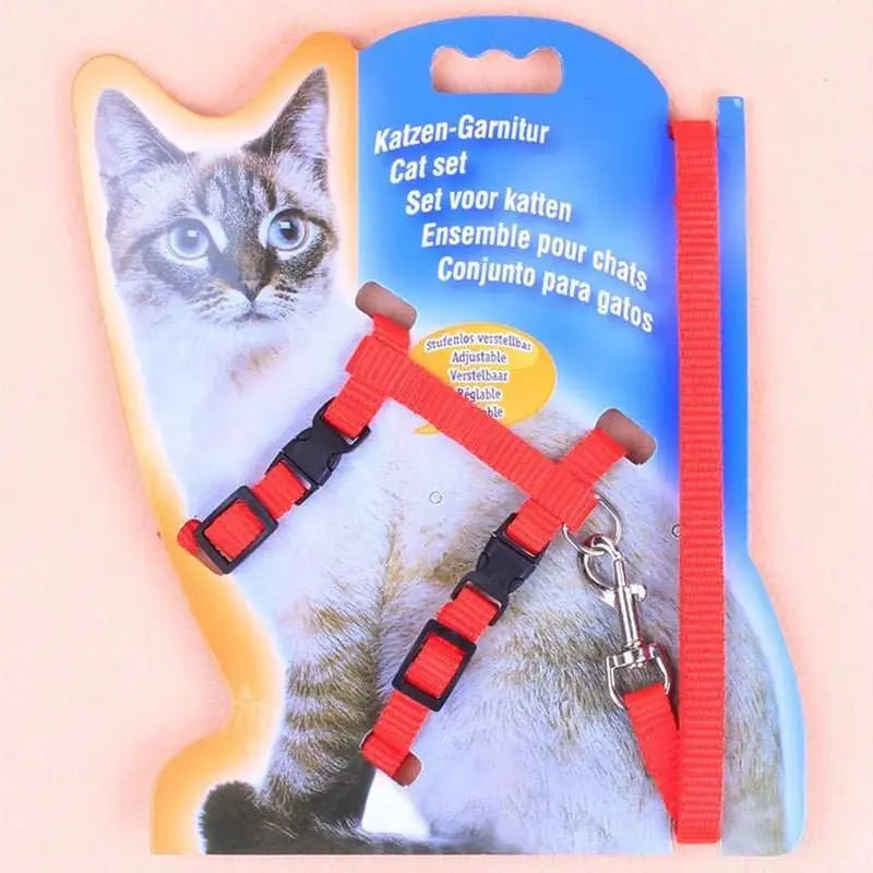 Cat leash I - shaped special dog leash for going out is firm and safe paper jam chest and back pet supplies - AMIR BAGS INDIA PRIVATE LIMITED