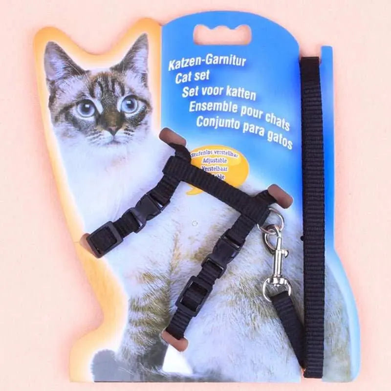 Cat leash I - shaped special dog leash for going out is firm and safe paper jam chest and back pet supplies - AMIR BAGS INDIA PRIVATE LIMITED