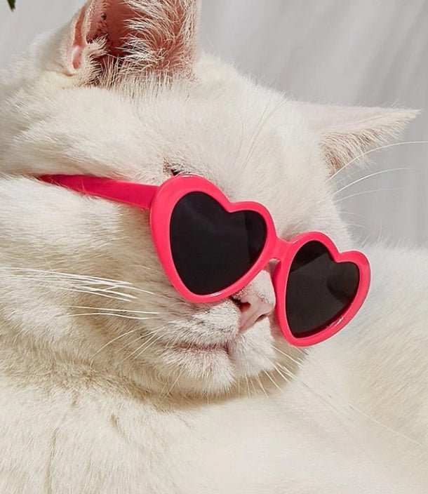 Doll Sunglasses Pet Toy Accessories - AMIR BAGS INDIA PRIVATE LIMITED