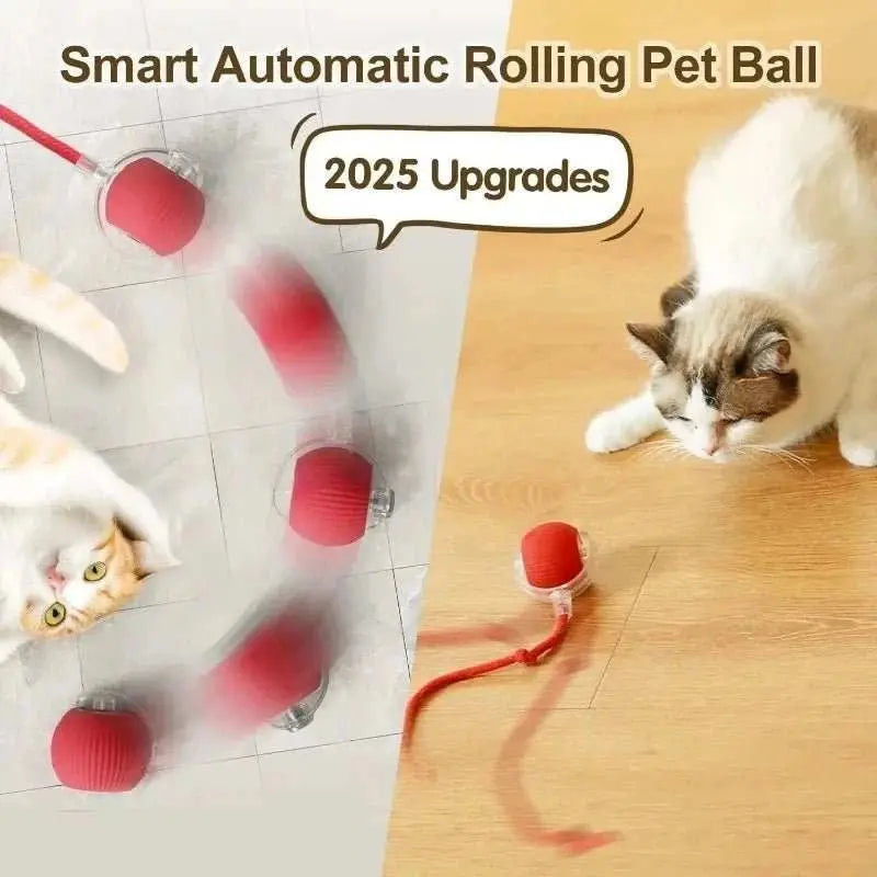 Interactive Dog Toys Rechargeable Pet Interactive Toys Electric Cats Ball Automatic Rolling Fake Tail Ball Dog Cats Toy - AMIR BAGS INDIA PRIVATE LIMITED