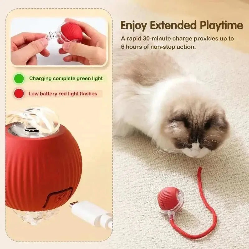Interactive Dog Toys Rechargeable Pet Interactive Toys Electric Cats Ball Automatic Rolling Fake Tail Ball Dog Cats Toy - AMIR BAGS INDIA PRIVATE LIMITED