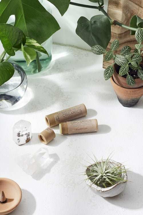 Kissable Lips / Chapstick Lip Balm / PAPERBOARD Tube - AMIR BAGS INDIA PRIVATE LIMITED