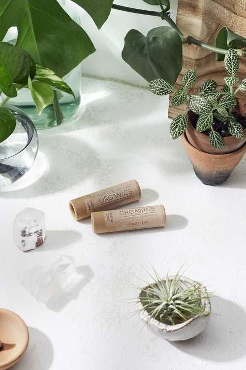 Kissable Lips / Chapstick Lip Balm / PAPERBOARD Tube - AMIR BAGS INDIA PRIVATE LIMITED