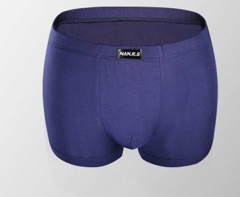 Men's Boxers Mid - waist Modal Boxers Youth Short Underpants - AMIR BAGS INDIA PRIVATE LIMITED