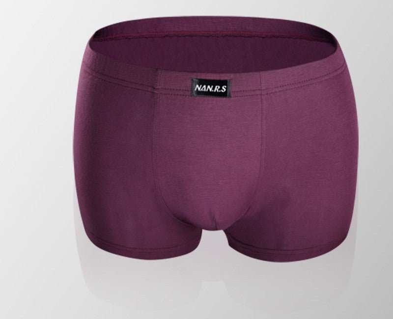 Men's Boxers Mid - waist Modal Boxers Youth Short Underpants - AMIR BAGS INDIA PRIVATE LIMITED