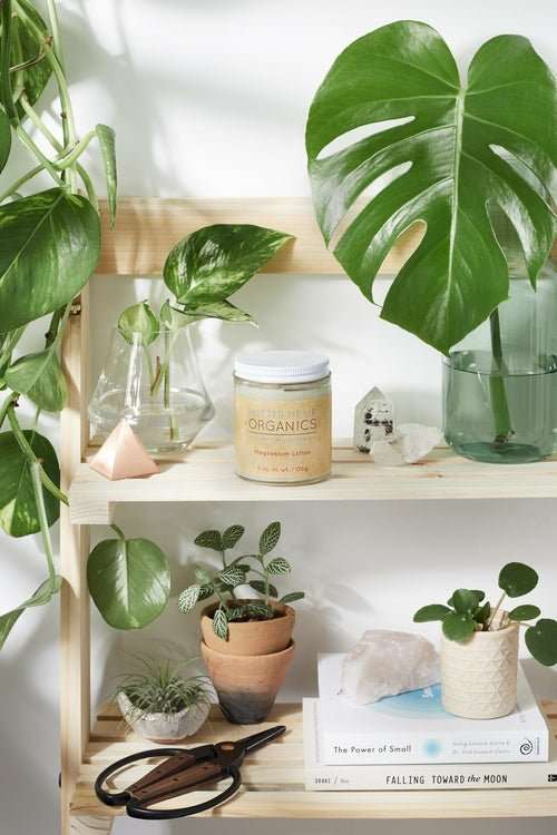 Organic Magnesium Lotion / Magnesium / Magnesium Cream / Magnesium - AMIR BAGS INDIA PRIVATE LIMITED