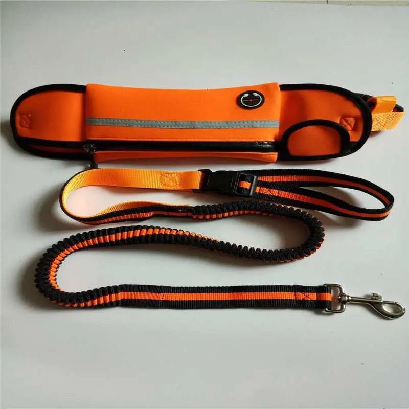 Pet Waist Bag Sports Traction Rope Reflective Waterproof Running Traction Rope - AMIR BAGS INDIA PRIVATE LIMITED