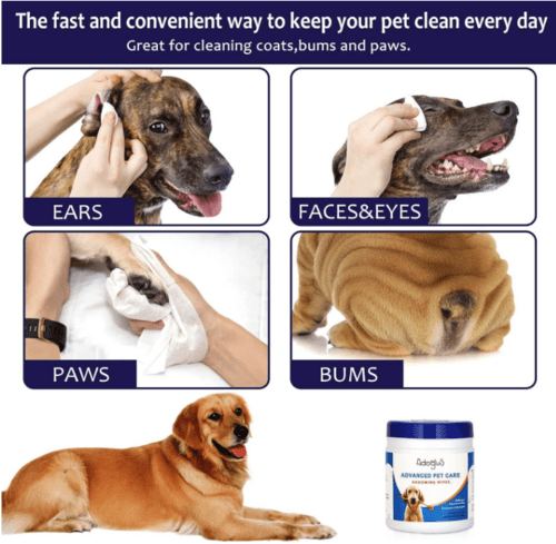 Pet Wipes with free cotton swabs - AMIR BAGS INDIA PRIVATE LIMITED