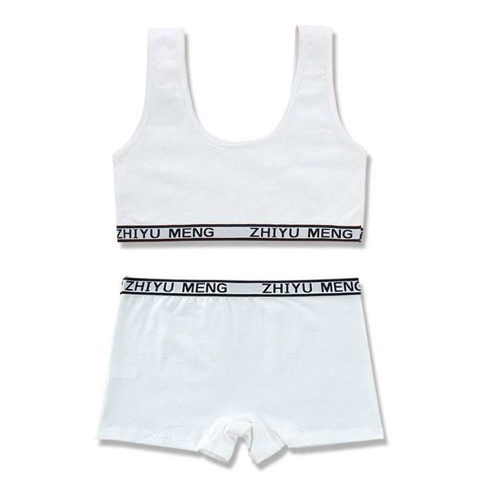 Pure Cotton Solid Color Underwear Set - AMIR BAGS INDIA PRIVATE LIMITED