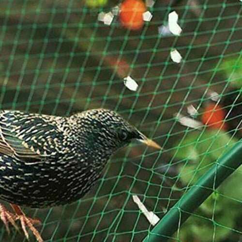 33FT Anti Bird Netting Pond Net Protection Tree Crops Plants Fruits - AMIR BAGS INDIA PRIVATE LIMITED