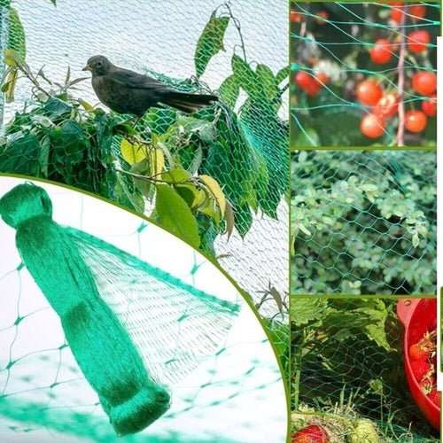 33FT Anti Bird Netting Pond Net Protection Tree Crops Plants Fruits - AMIR BAGS INDIA PRIVATE LIMITED