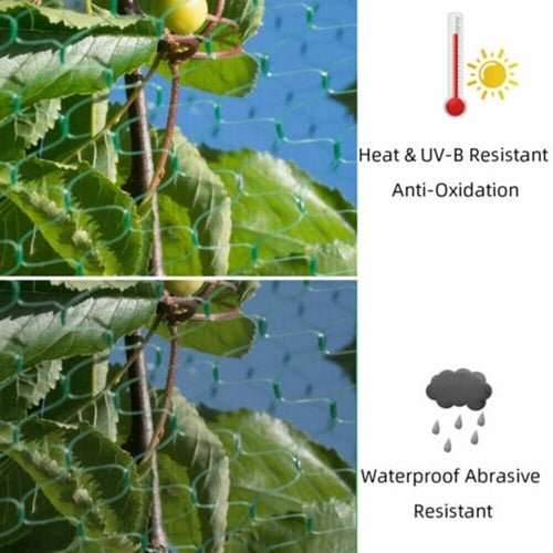 33FT Anti Bird Netting Pond Net Protection Tree Crops Plants Fruits - AMIR BAGS INDIA PRIVATE LIMITED
