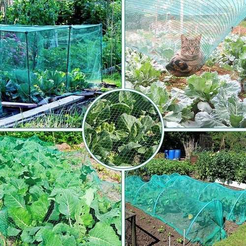 33FT Anti Bird Netting Pond Net Protection Tree Crops Plants Fruits - AMIR BAGS INDIA PRIVATE LIMITED