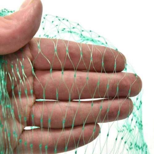33FT Anti Bird Netting Pond Net Protection Tree Crops Plants Fruits - AMIR BAGS INDIA PRIVATE LIMITED