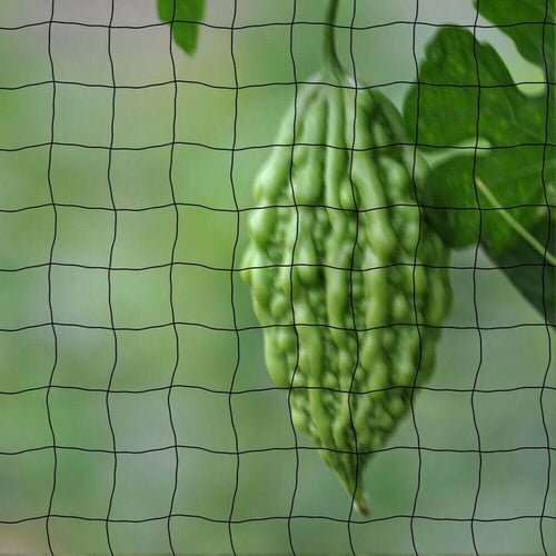 33FT Anti Bird Netting Pond Net Protection Tree Crops Plants Fruits - AMIR BAGS INDIA PRIVATE LIMITED