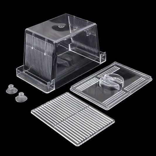 Acrylic Aquarium Fish Tank Incubation Box - AMIR BAGS INDIA PRIVATE LIMITED
