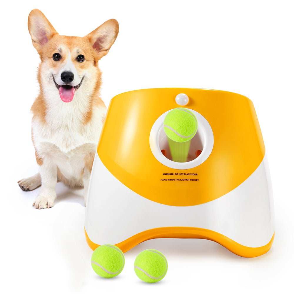 Automatic Throwing Machine Pet Outdoor Toy Ball Dog Tennis Launcher Dog Walking Tool - AMIR BAGS INDIA PRIVATE LIMITED