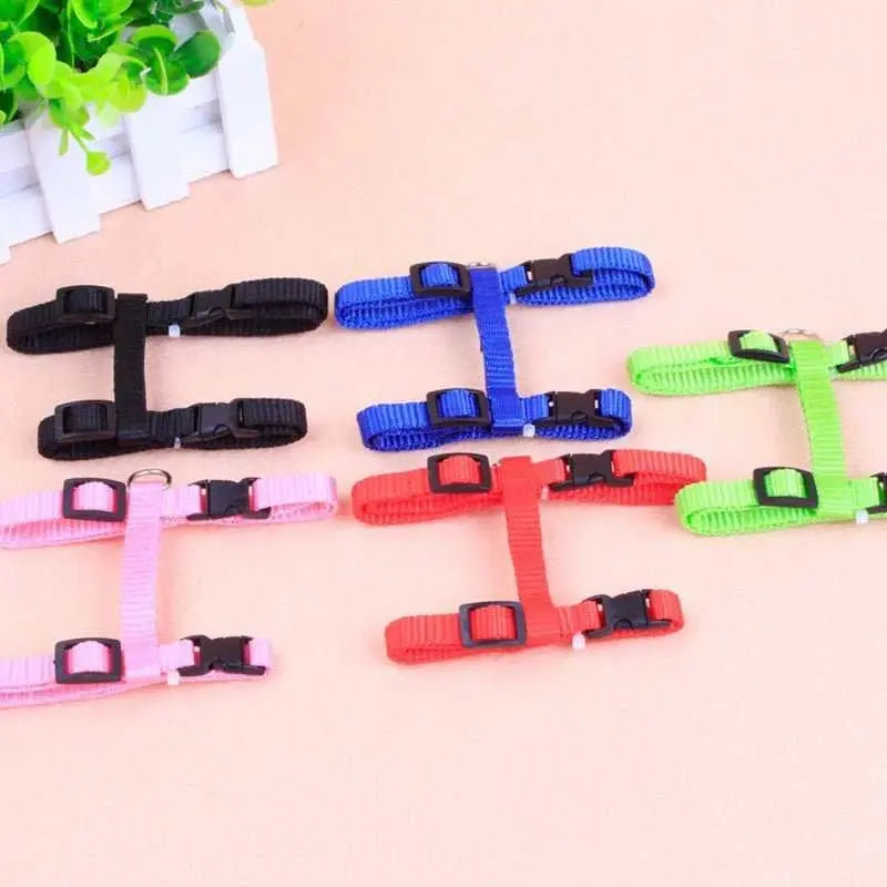 Cat leash I - shaped special dog leash for going out is firm and safe paper jam chest and back pet supplies - AMIR BAGS INDIA PRIVATE LIMITED