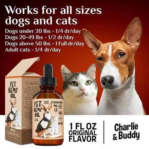 Charlie Buddy H–µmp Oil for Dogs Cats Hi—Ä and J–æint Supp–ært and - AMIR BAGS INDIA PRIVATE LIMITED