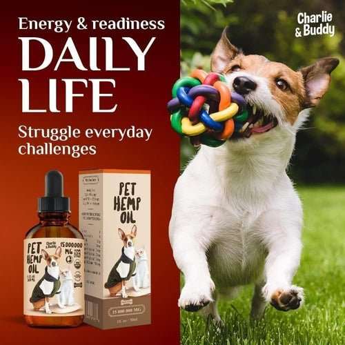 Charlie Buddy H–µmp Oil for Dogs Cats Hi—Ä and J–æint Supp–ært and - AMIR BAGS INDIA PRIVATE LIMITED
