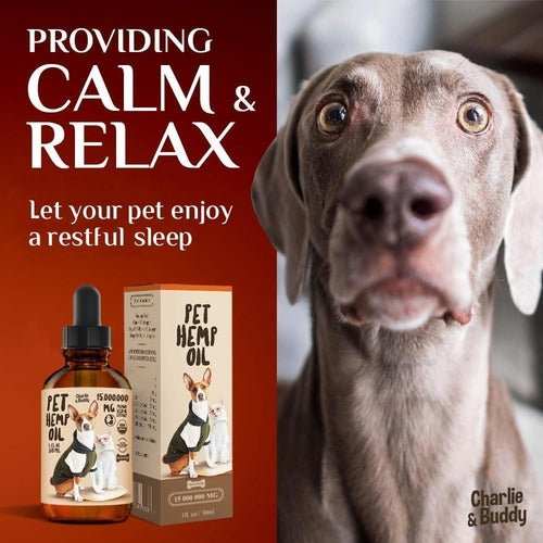 Charlie Buddy H–µmp Oil for Dogs Cats Hi—Ä and J–æint Supp–ært and - AMIR BAGS INDIA PRIVATE LIMITED