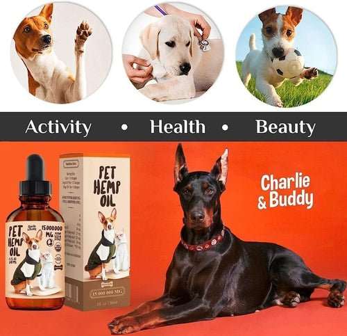 Charlie Buddy H–µmp Oil for Dogs Cats Hi—Ä and J–æint Supp–ært and - AMIR BAGS INDIA PRIVATE LIMITED