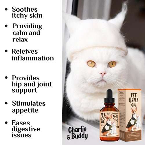 Charlie Buddy H–µmp Oil for Dogs Cats Hi—Ä and J–æint Supp–ært and - AMIR BAGS INDIA PRIVATE LIMITED