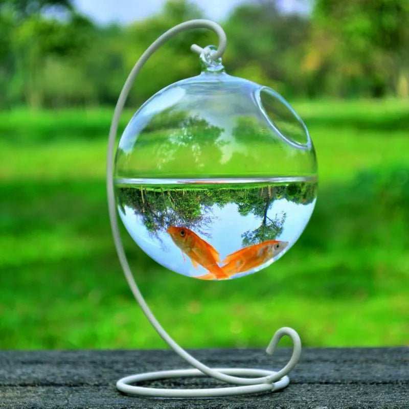 Hanging Glass Vase Fish Tank - AMIR BAGS INDIA PRIVATE LIMITED