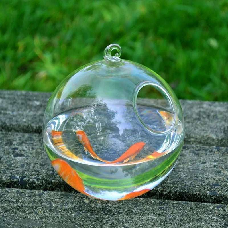 Hanging Glass Vase Fish Tank - AMIR BAGS INDIA PRIVATE LIMITED