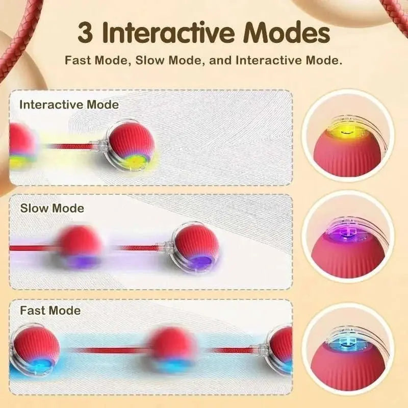 Interactive Dog Toys Rechargeable Pet Interactive Toys Electric Cats Ball Automatic Rolling Fake Tail Ball Dog Cats Toy - AMIR BAGS INDIA PRIVATE LIMITED
