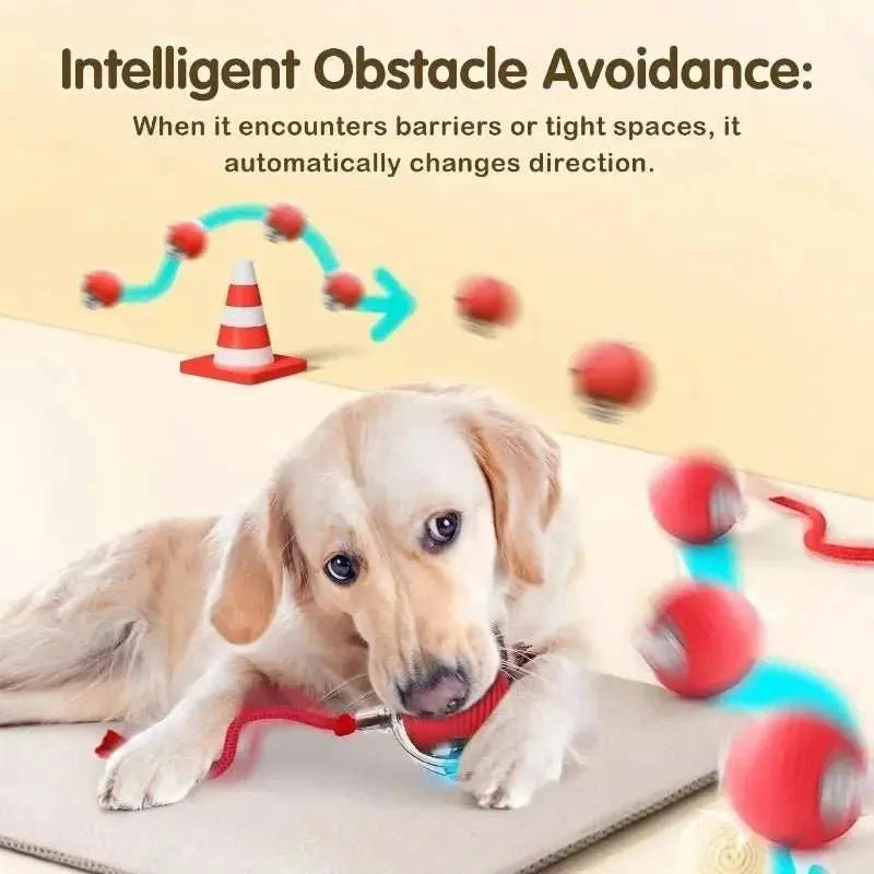 Interactive Dog Toys Rechargeable Pet Interactive Toys Electric Cats Ball Automatic Rolling Fake Tail Ball Dog Cats Toy - AMIR BAGS INDIA PRIVATE LIMITED
