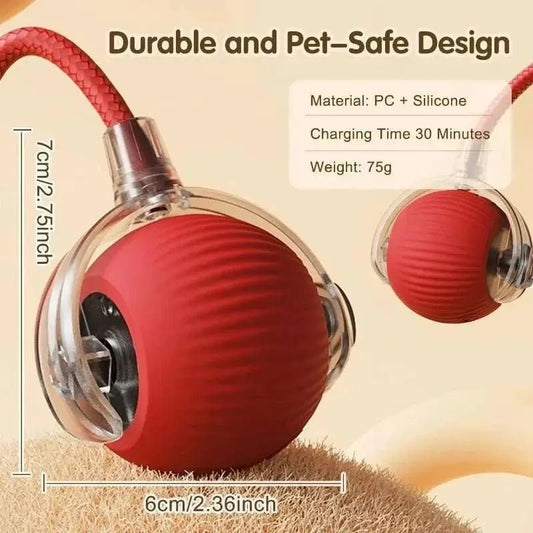 Interactive Dog Toys Rechargeable Pet Interactive Toys Electric Cats Ball Automatic Rolling Fake Tail Ball Dog Cats Toy - AMIR BAGS INDIA PRIVATE LIMITED