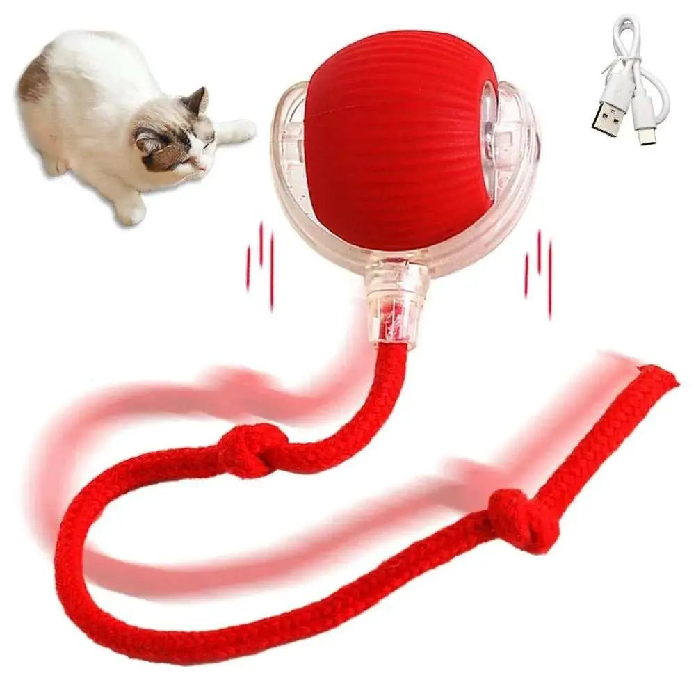 Interactive Dog Toys Rechargeable Pet Interactive Toys Electric Cats Ball Automatic Rolling Fake Tail Ball Dog Cats Toy - AMIR BAGS INDIA PRIVATE LIMITED