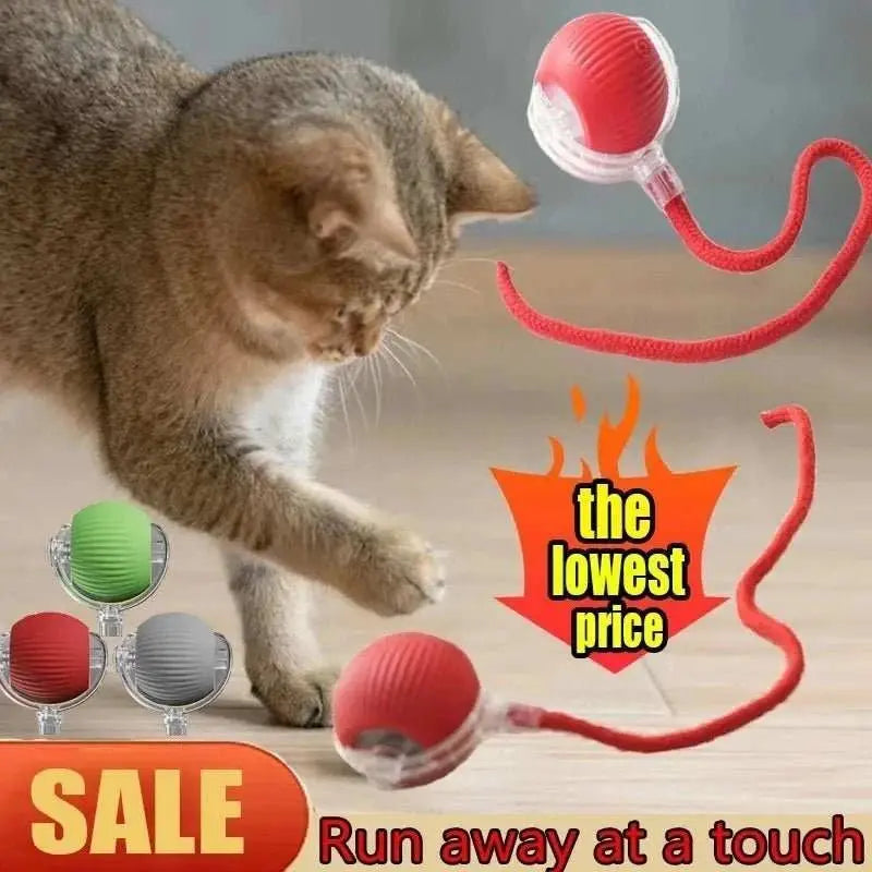 Interactive Dog Toys Rechargeable Pet Interactive Toys Electric Cats Ball Automatic Rolling Fake Tail Ball Dog Cats Toy - AMIR BAGS INDIA PRIVATE LIMITED