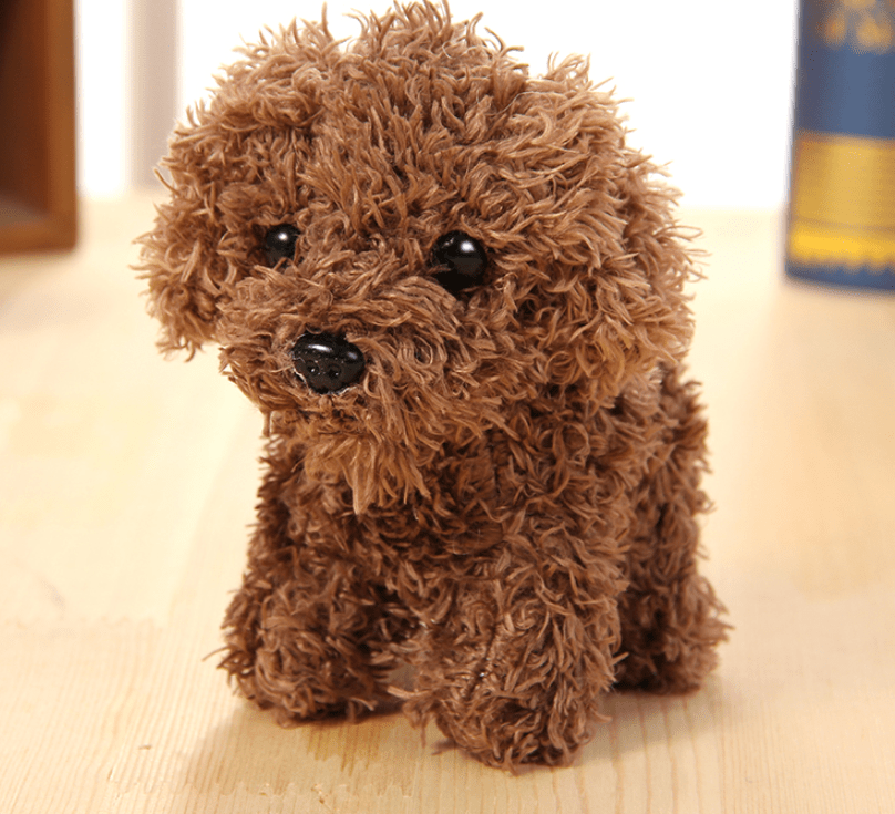 Pet doll teddy dog toy - AMIR BAGS INDIA PRIVATE LIMITED