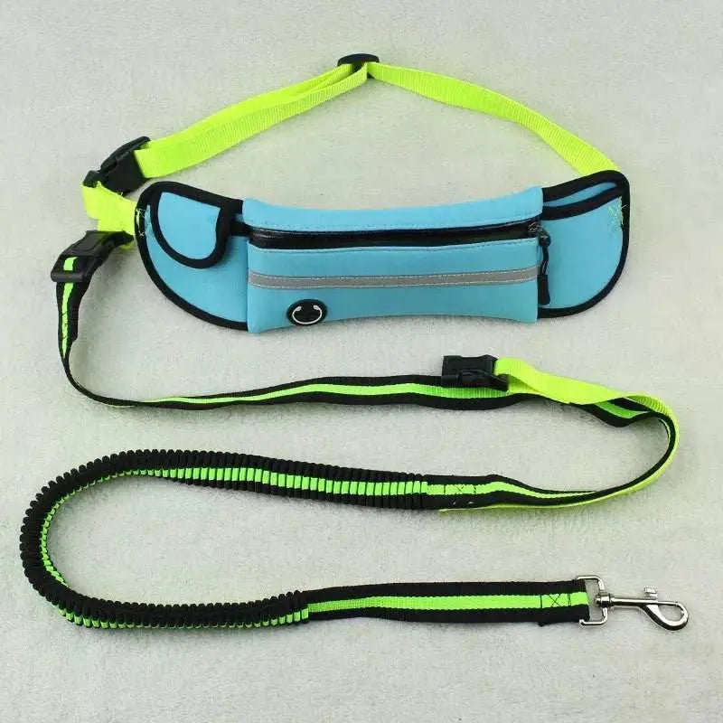 Pet Waist Bag Sports Traction Rope Reflective Waterproof Running Traction Rope - AMIR BAGS INDIA PRIVATE LIMITED