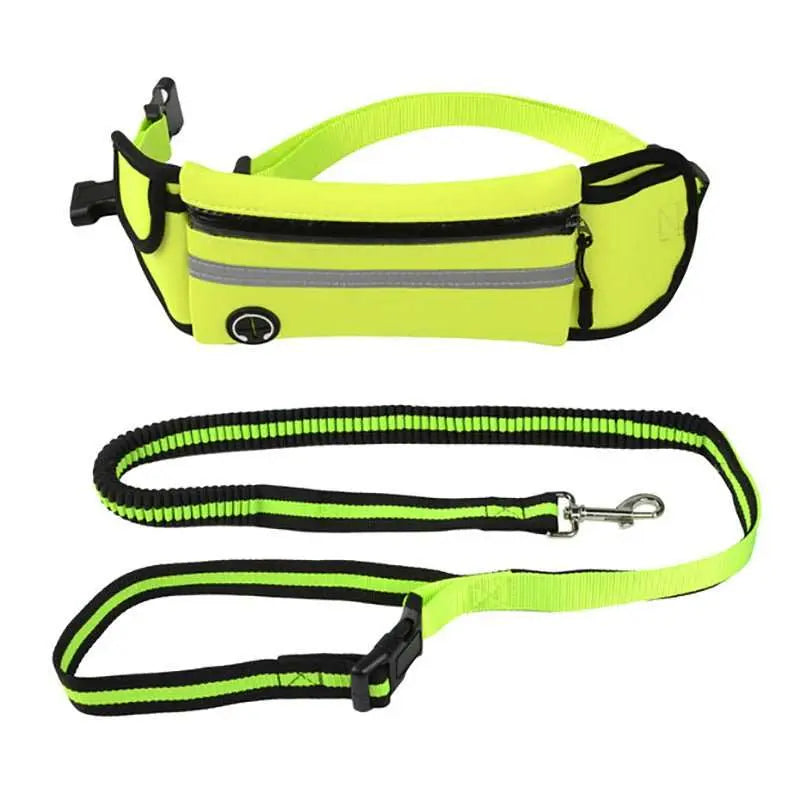 Pet Waist Bag Sports Traction Rope Reflective Waterproof Running Traction Rope - AMIR BAGS INDIA PRIVATE LIMITED