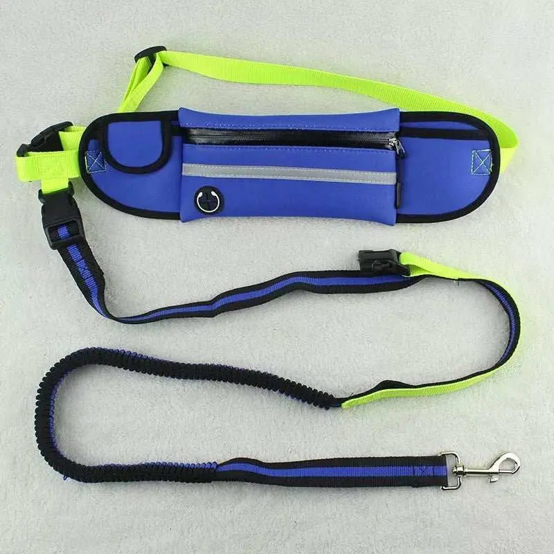 Pet Waist Bag Sports Traction Rope Reflective Waterproof Running Traction Rope - AMIR BAGS INDIA PRIVATE LIMITED