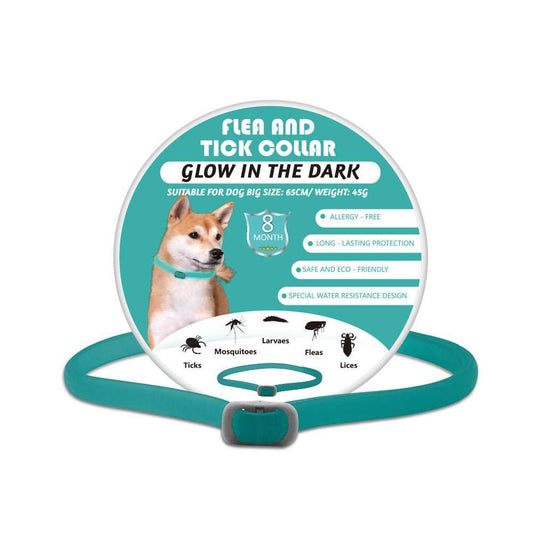 Pets Luminous Insect Repellent Dog Collar Pet Products - AMIR BAGS INDIA PRIVATE LIMITED