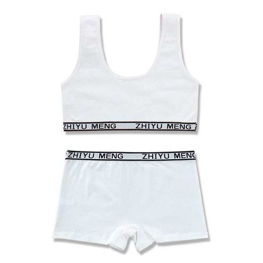Pure Cotton Solid Color Underwear Set - AMIR BAGS INDIA PRIVATE LIMITED