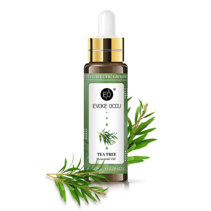 Rose Lavender Aromatherapy Essential Oil With Dropper 10ml - AMIR BAGS INDIA PRIVATE LIMITED