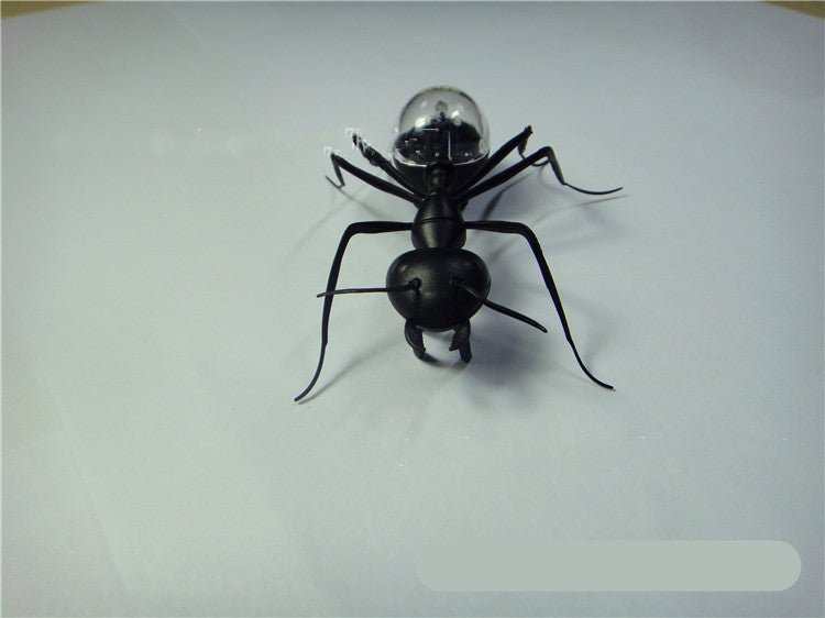 Solar Ant Baby Electronic Pet Toy - AMIR BAGS INDIA PRIVATE LIMITED