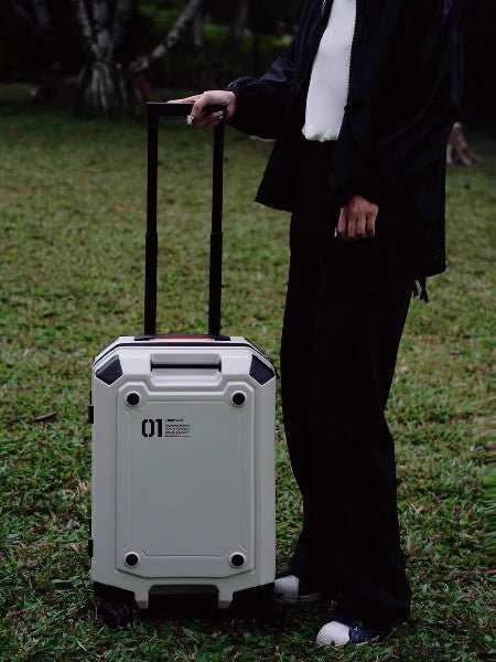 Youqi Sahara 20 - inch Luggage For Men And Women - AMIR BAGS INDIA PRIVATE LIMITED